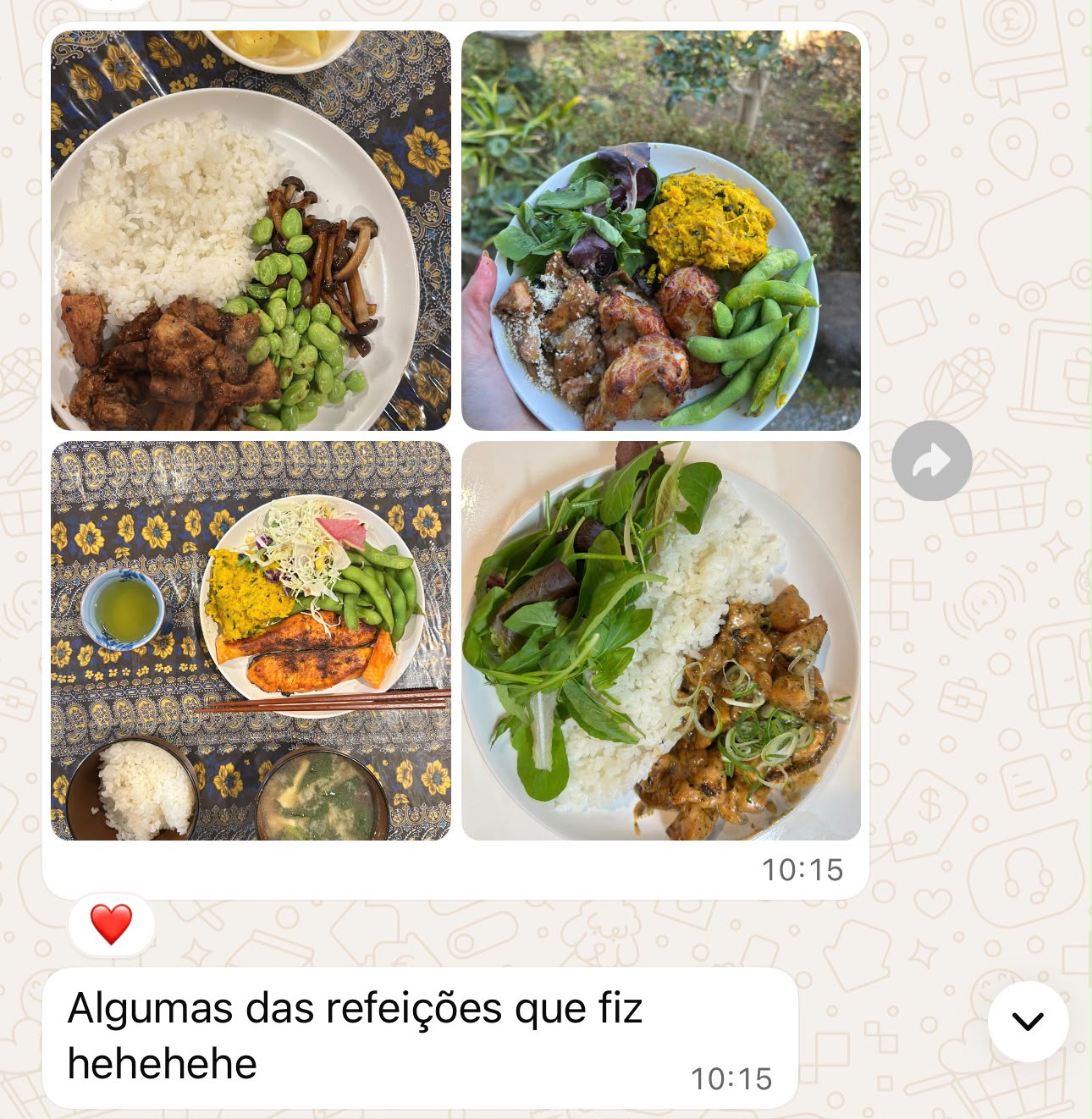 Depoimento de paciente 14 sobre o acompanhamento nutricional